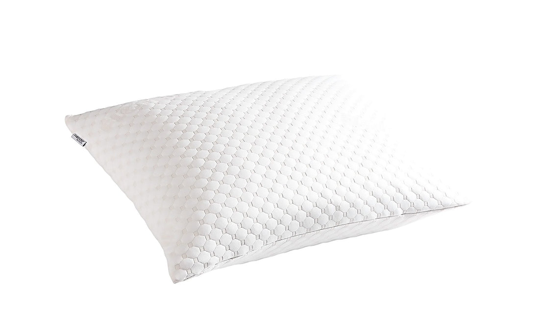 【FLOTEMP福樂添】PCCM PLUS 雙享枕-特價